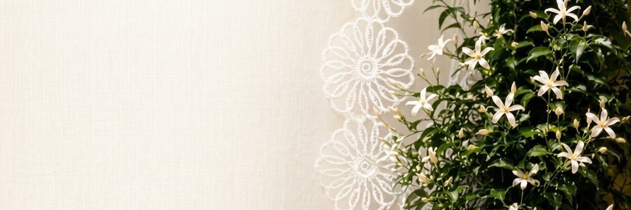 تحديثات أصالة's banner