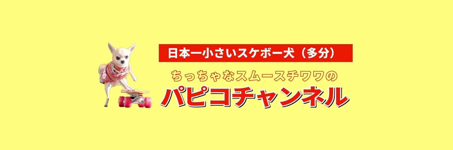 パピコチャンネル's banner