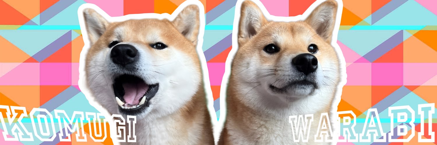 シヴァ犬こむぎっす🐾豆シヴァわらび's banner