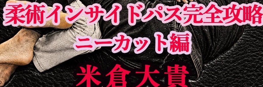 岩井洋一(日本グラップリング連盟&ジャズギター)'s banner