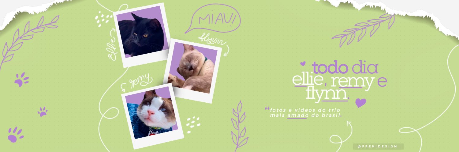 Todo dia Ellie, Remy e Flynn's banner