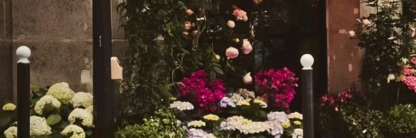 a r z u's banner