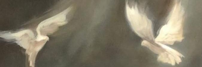 نيلوڤر's banner