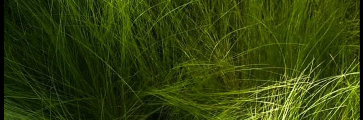 أنا ندى ✨'s banner