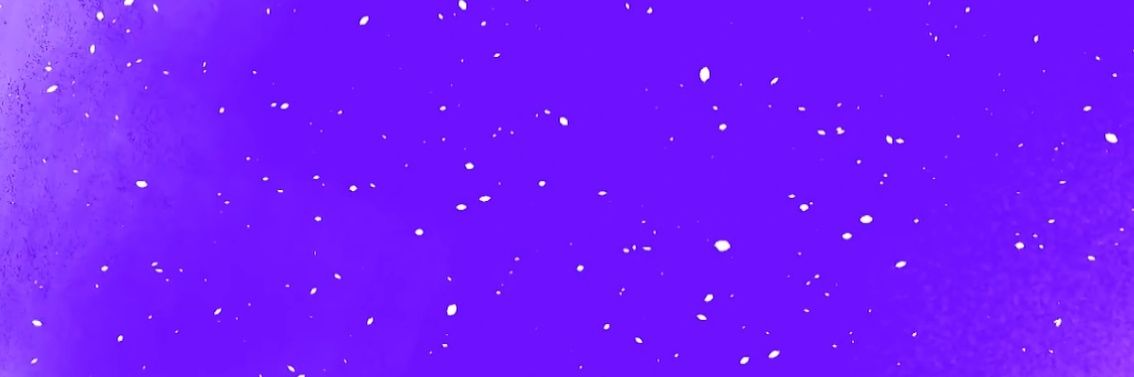 MaxFord's banner