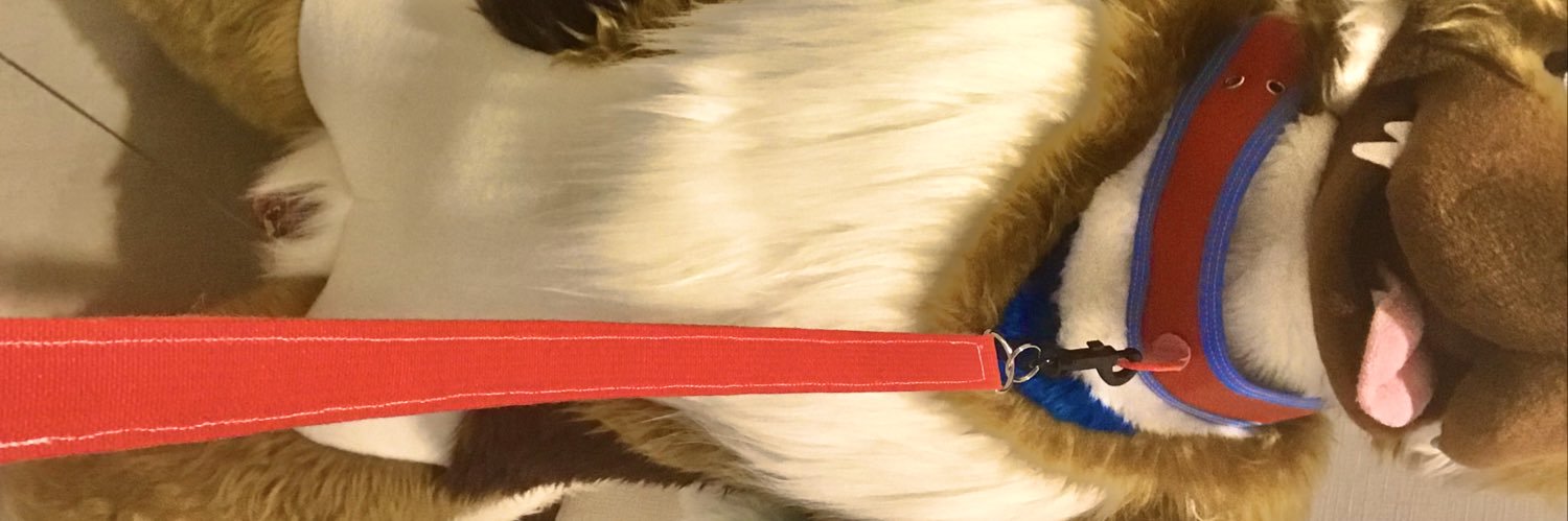 Dog 2's banner