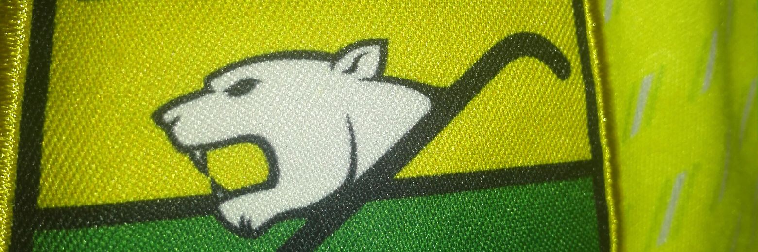 YAYO SÁNCHEZ's banner