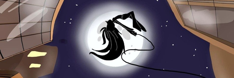 Lisica's banner