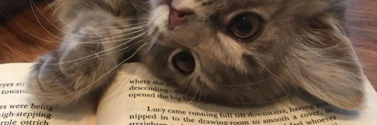 keta 🌙's banner