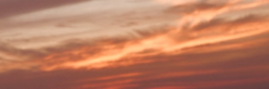 Lia Lev's banner