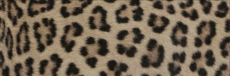 ☆'s banner
