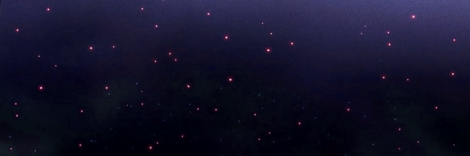 mar's banner