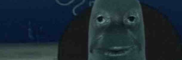 - Mozzarella -'s banner