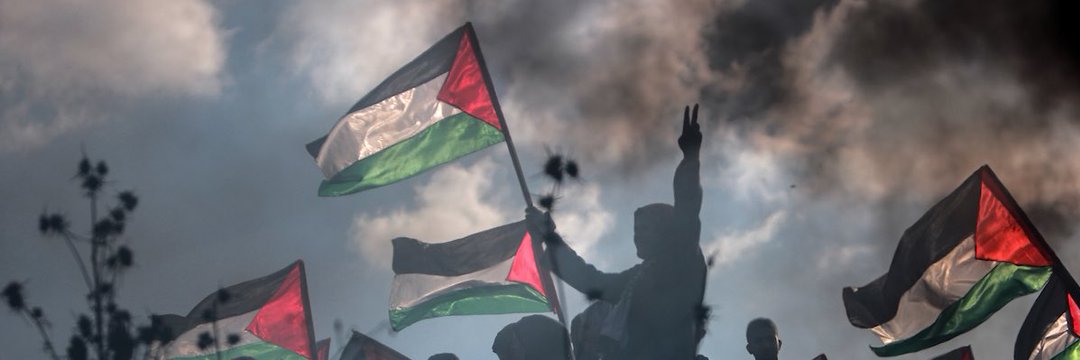 maher🇵🇸's banner