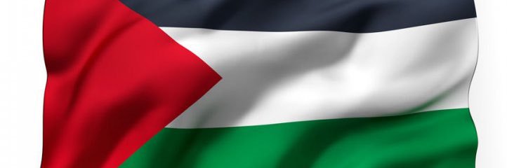 sahar husain's banner