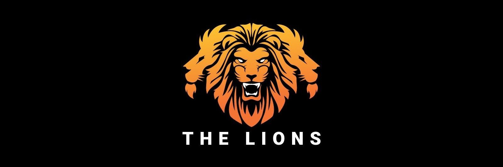 THE SOCIETY OF WARRIORS 🦁's banner