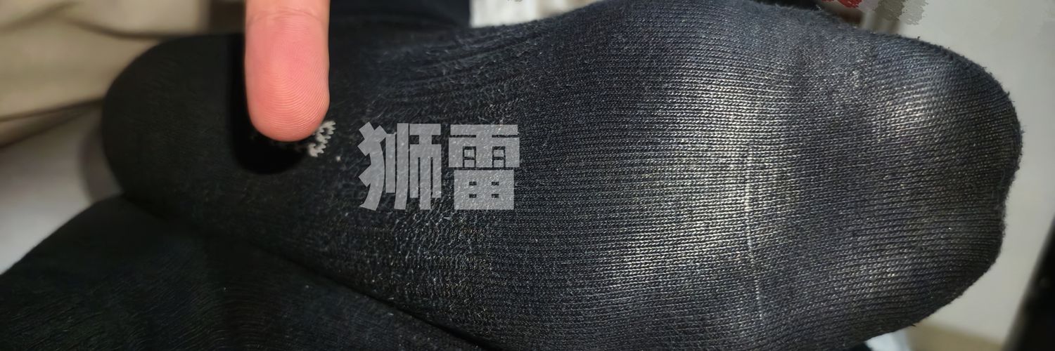 狮雷's banner