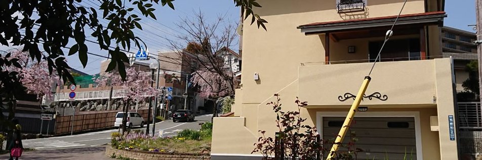 宿泊施設「レディージェンヌ」's banner