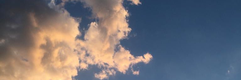 busukimin 🧊's banner