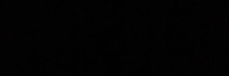 lais's banner