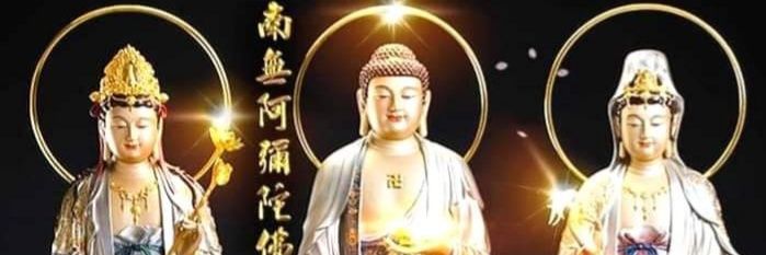 Lin yu ling's banner