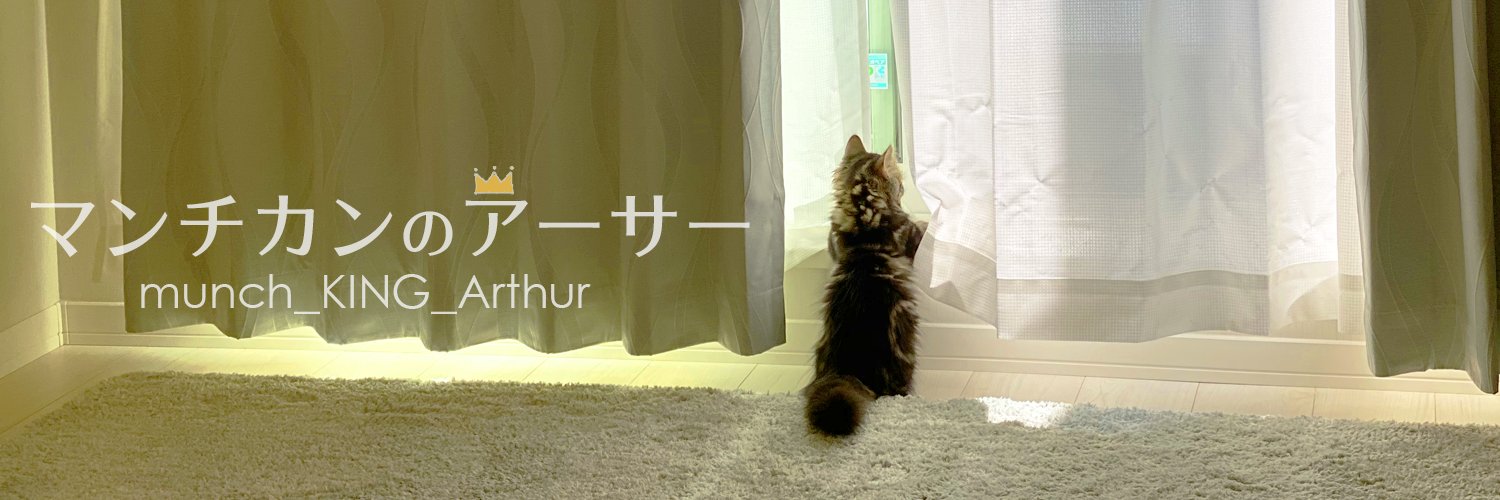 マンチカンのアーサー's banner