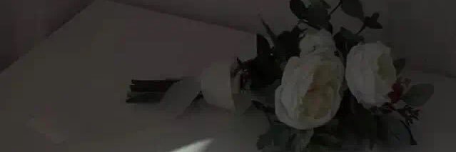 诱拐弟弟的姐姐's banner