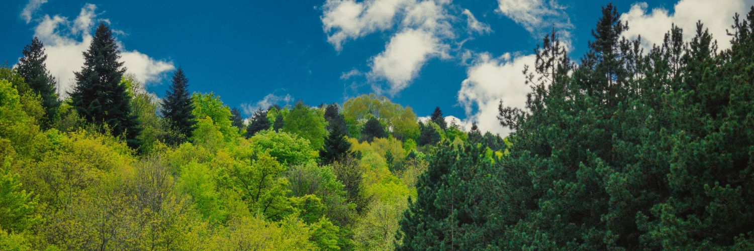 Минерв🅰️'s banner