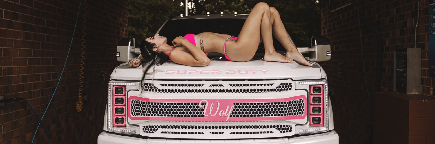 justine wolf's banner
