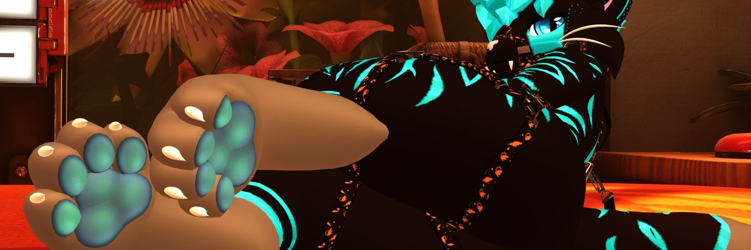 Nova_avali 🏳️‍🌈's banner