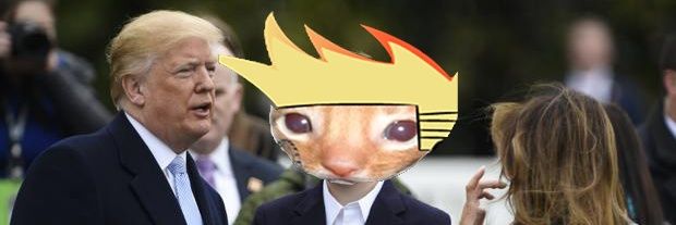 Gato Mileista's banner