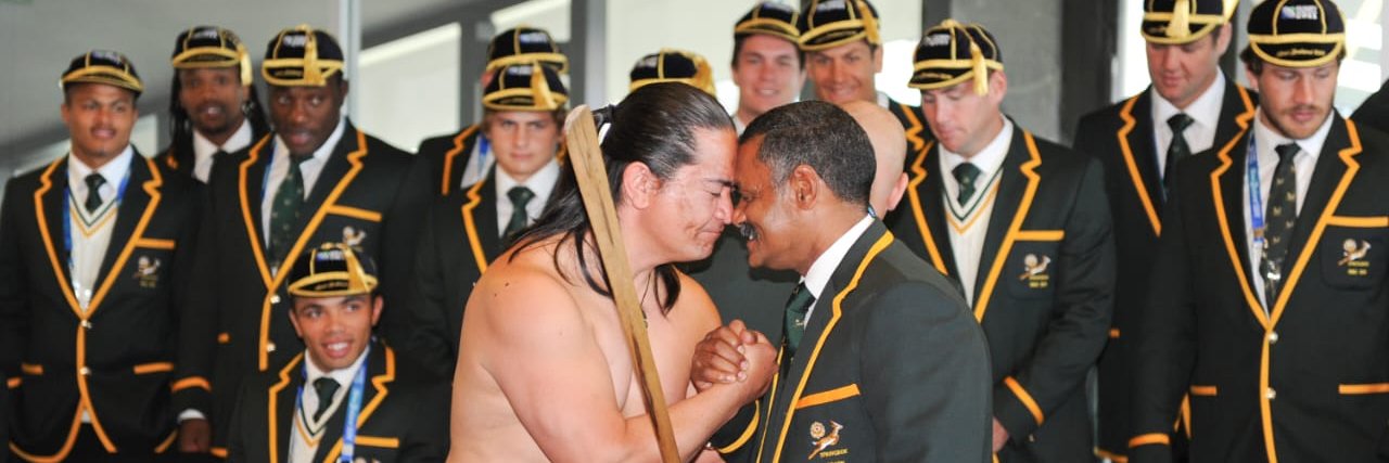 Peter de Villiers's banner