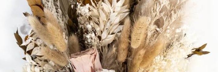 Alexa Bliz's banner
