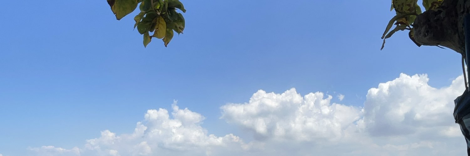 iota's banner
