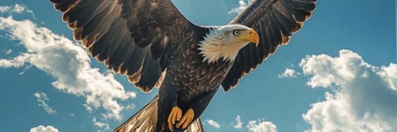 Damicko🦅's banner