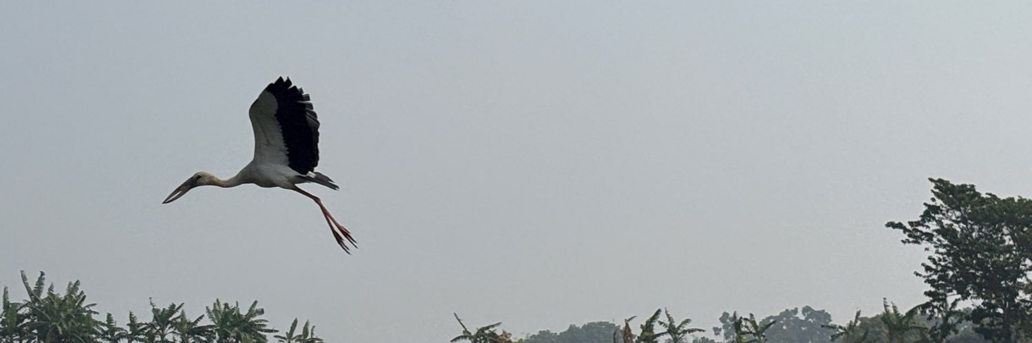 Alok Pandey's banner