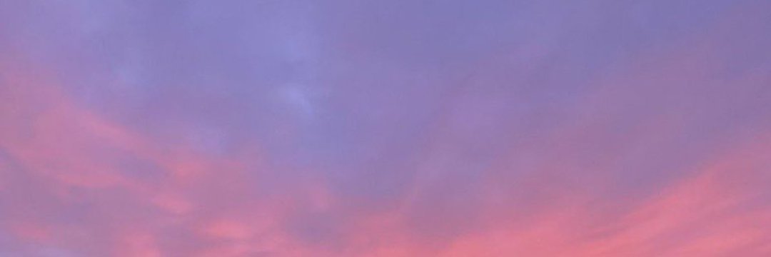 Pri🥀's banner