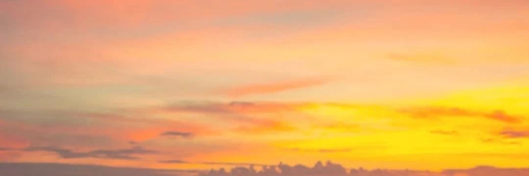 啊鳯啊鳯_'s banner
