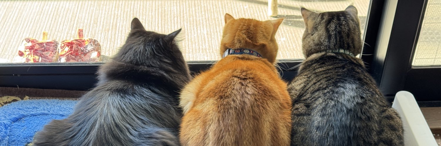 黒ねこボサのもふ日和's banner