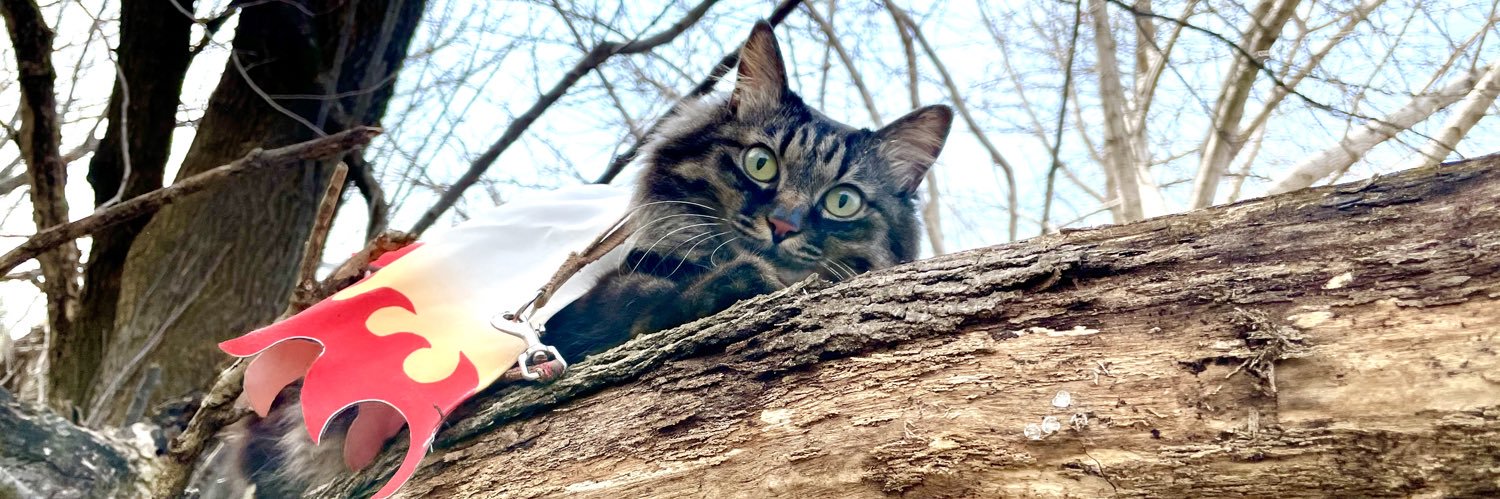 空猫's banner
