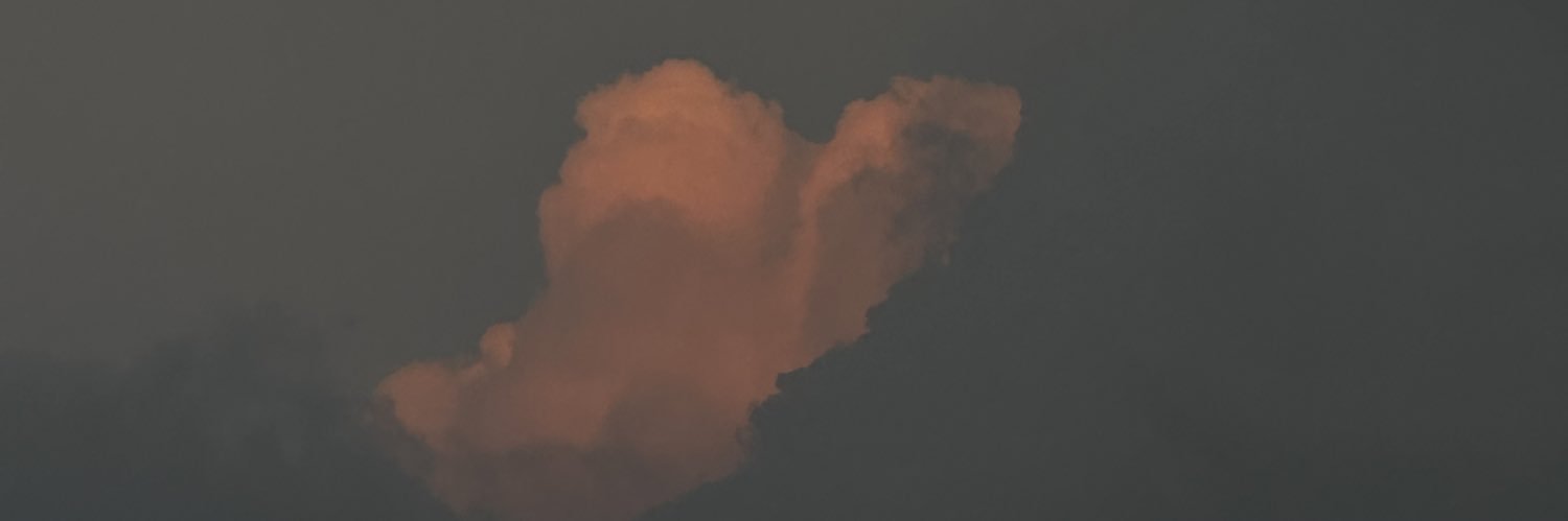 诗's banner