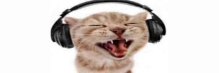 ☎︎ yaz ᓚᘏᗢ SEEING UAU's banner