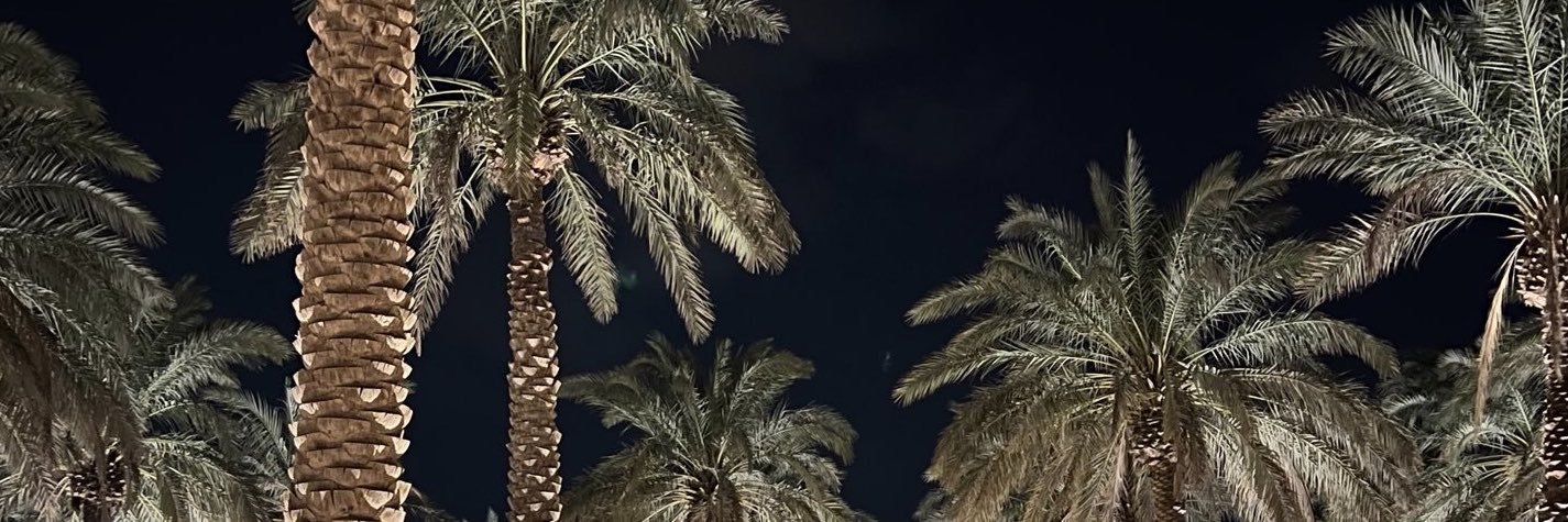 𐌍's banner