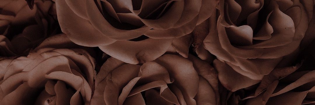 Nini🍂's banner