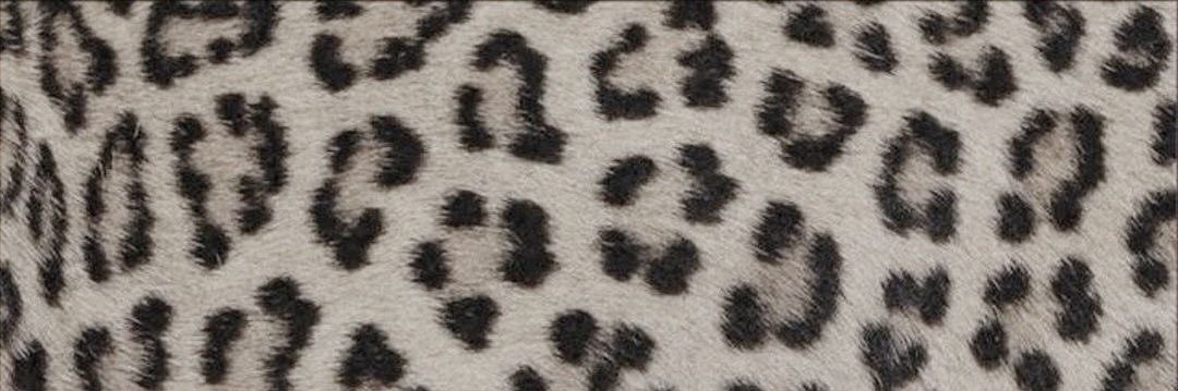 YOUNGINᥫ᭡'s banner