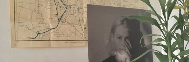dany's banner