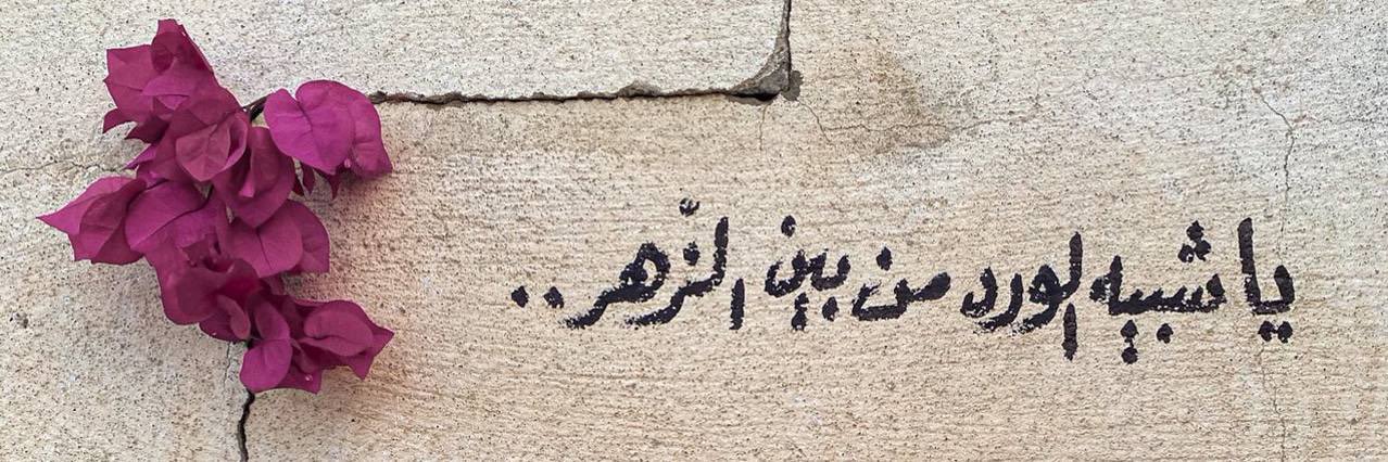 الغيـد 🥈✤'s banner