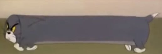 倉光勇人(くらみゆうと)'s banner