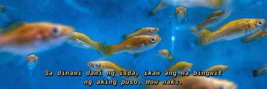 langit ☁︎'s banner