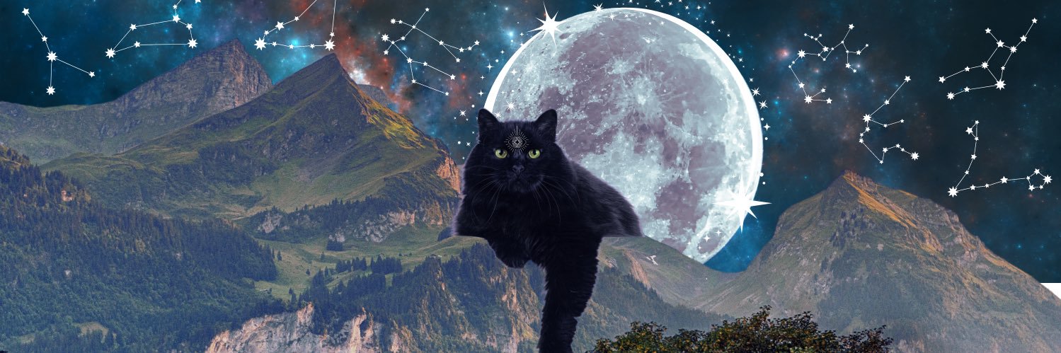 ꙳✿ ᩚ's banner